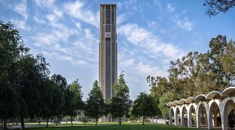 UC Riverside Packing List | Move In Day - Humans of University Uc Riverside, Move In Day, Art School Supplies, Folder Organization, College Tips, Photo Clips, Cinder Block, Grad Photos, Moving Day