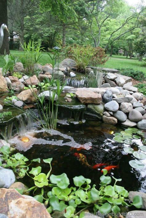 Backyard Pond  Created By Design Build LLC Coi Pond Backyard Ideas, Garden Ponds Ideas, Ponds Ideas, Backyard Wildlife Pond, Mini Wildlife Pond, Small Backyard Ponds, Formal Koi Pond, Fountain Pond, Small Water Gardens