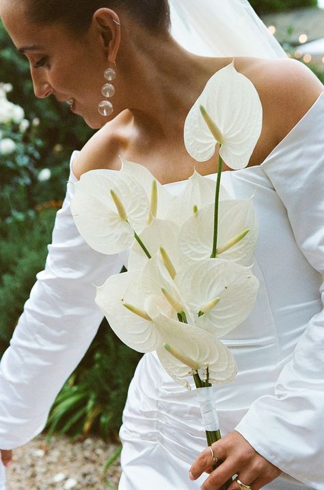 WEDDINGS - Sebastian Paynter Editorial Background, Anthurium Bouquet, White Orchid Bouquet, Modern Bridal Bouquets, Modern Wedding Bouquets, Baju Kahwin, Calla Lily Wedding, Orchid Bouquet, Sage Wedding