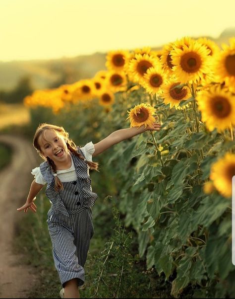 Sunflower Mini Session, Sunflower Field Photography, Sunflower Photoshoot, Sunflower Farm, Giant Sunflower, Sunflower Photography, Family Photoshoot Poses, Sunflower Photo, Sunflower Pictures