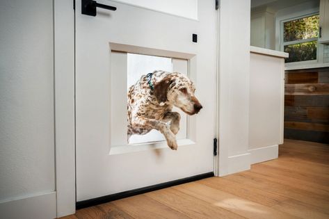 Chamberlain's myQ has allowed for Internet-based control of garage doors for years. Now they're bringing the technology to the doggie door market. Dubbed the Pet... Smart Dog Door, Automatic Dog Door, Smart Garage Door Opener, Automatic Garage Door, Garage Door Company, Small Band, Pet Doors, Pet Door, Smart Dog