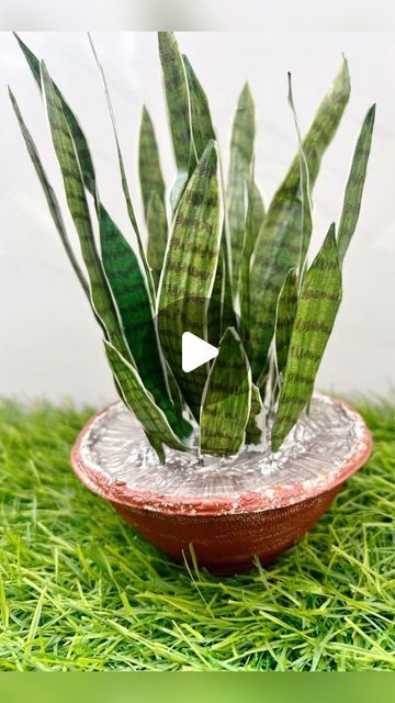 Miniature Plants Diy, Miniature Plants Diy How To Make, Diy Fake Grass Miniature, Craft From Waste Material, Snake Plant, Miniatures, Plants, Instagram