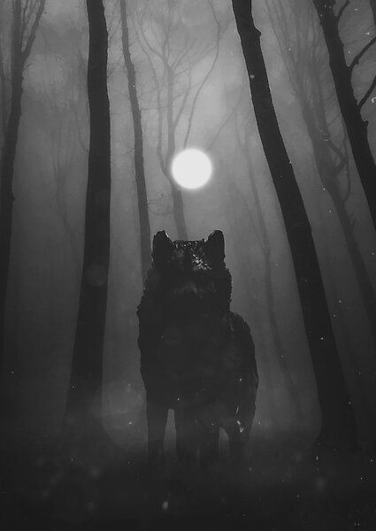 Lone by AndrejZT | Redbubble Werewolf Stories, Demon Wolf, Wolf Images, Wolf Photos, Wolf Wallpaper, Wolf Love, She Wolf, Red Wolf, Wolf Pictures