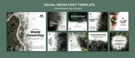 Premium PSD | World forest day instagram posts template Holiday Social Media Posts, Instagram Posts Template, Business And Advertising, Kids Social Media, Creative Advertising Design, Online Art Classes, Nature Instagram, Free Psd Files, A Day In Life