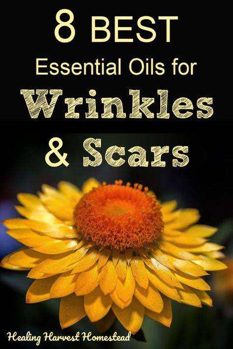 Oils For Wrinkles, Natural Hair Mask, Anti Aging Oils, Anti Aging Food, Boost Hair Growth, Skincare Regimen, Night Serum, Diy Skincare, Homemade Remedies