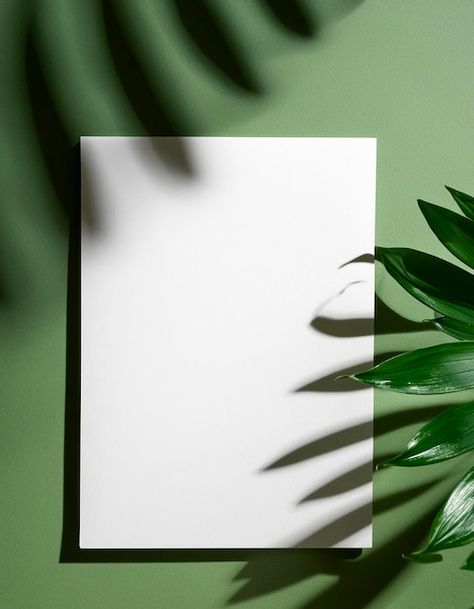 leaf shadows on blank canvas against olive green backdrop Olive Green Backdrop, Green Backdrops, Blank Canvas, Premium Photo, Olive Green, Stock Photos, Canvas, Green