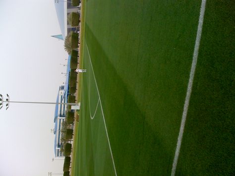 Aspire training pitch in Qatar The Pitch, Qatar, Soccer Field, Golf Courses, Soccer, Train, Saying Goodbye, Quick Saves, Football