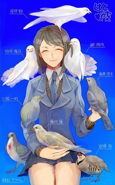 Hatoful Boyfriend, Cute Pigeon, Shigeru Miyamoto, Monster Prom, Dating Simulator, Black Rock Shooter, Boyfriend Wallpaper, Story Games, Funny Birds