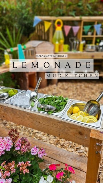 Sliced Lemon, Kitchen Setup, Lemon Juicer, Mint Water, Make Lemonade, Charity Shops, Tuff Tray, Mud Kitchen, Charity Shop