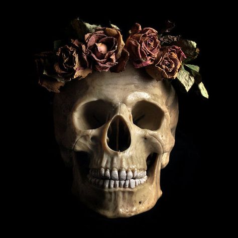 Skeleton Artwork, Skeleton Love, Flowers Crown, Rose Crown, Natural Curiosities, Skull Artwork, Skulls And Roses, Human Skull, Skeletal