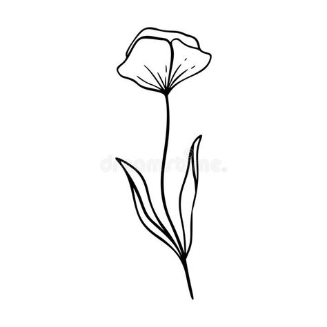 Poppy Flower Embroidery Pattern, Poppy Outline Tattoo, Poppy Drawing Simple, Poppy Flower Outline, Herbs Doodle, Poppy Embroidery Pattern, Doodle Botanical, Poppy Doodle, Poppy Outline