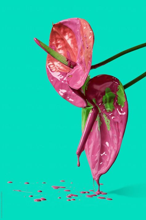 Painted Objects, Botanical Fashion, Anthurium Flower, Photography Themes, Pink Plant, Still Life Photos, Plant Painting, Drip Painting, Watercolor Leaves