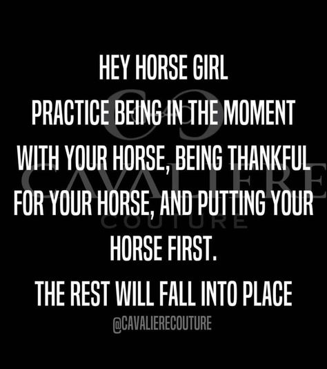 Horse People Quotes, Horse Show Quotes, Horse Training Quotes, Horse Love Quotes, Horsemanship Quotes, Inspirational Horse Quotes, Western Quotes, Horse Riding Quotes, Equestrian Quotes