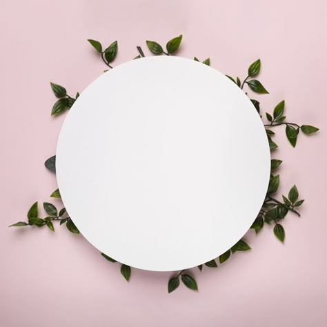 White circle mock-up on leaves | Free Photo #Freepik #freephoto #freebackground #freemockup #freetree #freecircle Tree Circle, On Leave, Circle Background, Black Background Wallpaper, Instagram Frame Template, Floral Border Design, White Circle, Floral Poster, Instagram Wallpaper