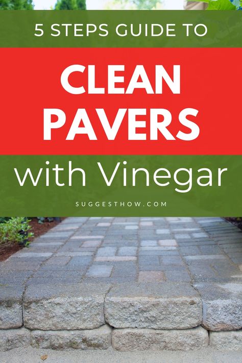 Patio Cleaning Tips, Cleaning Brick Patio, How To Clean Pavers Patio, Brick Cleaner Outdoor, Patio Cleaning, Cleaning Landscape Rock, Sealing Pavers, Cleaning Pavers, How To Clean Stone