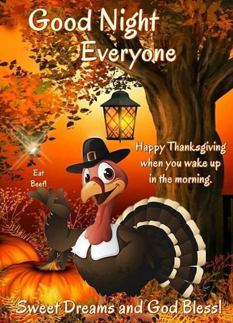 Good Night Thanksgiving Eve, Thanksgiving Good Night, Good Night Thanksgiving, Thanksgiving Eve Quotes, Whimsical Wednesday, Thanksgiving Night, Caprese Bites, Happy Thanksgiving Pictures, Thanksgiving Stickers