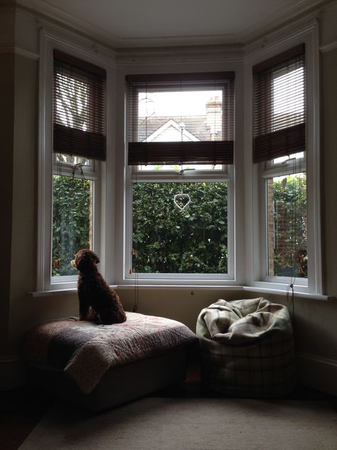 Love our bay window (with dog!) Dog Bed By Window, Aesthetic Bay Window, Bay Window Seat Aesthetic, Bay Window Dog Bed Built Ins, Bay Window For Dogs, Window Chair, Rain Window, Window Shadow, Window Table