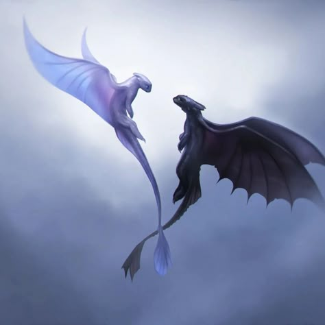 Toothless Drawing Flying, How To Train Your Dragon Painting, Httyd Toothless And Light Fury, Httyd Matching Pfp, Light Fury Drawing, Tattoo Toothless, Lightfury Art, Light Fury Art, Toothless X Light Fury