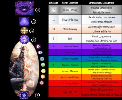 Dimensions Universe, Empath Abilities, Chakra Chart, Mathematics Geometry, Chakra Activation, Universal Consciousness, Human Design System, Cosmic Consciousness, Chakra Racine