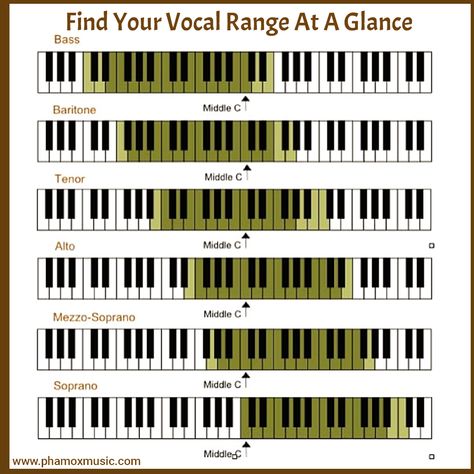 If you are singing in a choir or take voice lessons, you have probably already been classified as a soprano, or contralto (alto) if you are a woman, and a tenor, or bass if you are a man. These classification are basic singing voice types that are common and popularly known as “S.A.T.B”, but we do have more than these. Alto Voice, Piano Scales, Learn Singing, Vocal Training, Voice Lessons, Vocal Lessons, Voice Lesson, New Student, Singing Lessons