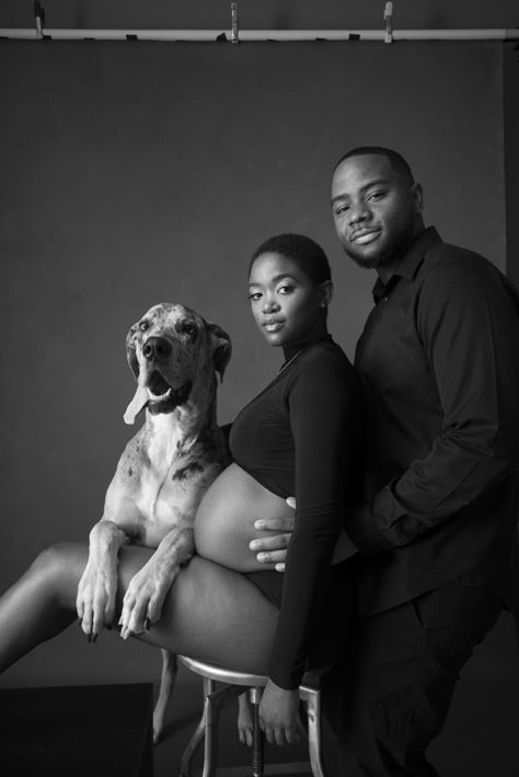 Maternity Photography With Small Dog, Maternity Photo Shoot Ideas Dog, Maternity Photo Shoot With Dog, Maternity Photo With Dog, Pregnancy Photoshoot With Dog, Pregnancy Photos With Dog, Maternity With Dog, Maternity Pictures With Dog, Maternity Shoot With Dog