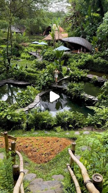 Tina Pik on Instagram: "Save this spot for your Bali trip ✌️ 

This is @bambuindah on the outskirts of the jungles of Ubud and it’s an absolute must for your Bali itinerary. This place will literally have you GAPING 😲 [hosted]

You can stay in one of their unique bamboo accommodation or you can just come here and enjoy the place for the day on a day pass. 

#travelbucketlist #bali #indonesia #ubud #ubudbali #balitravel #travelguide #travelinspiration" Monkey Forest Bali, Bali Trip, Bali Itinerary, Voyage Bali, Airplane Mode, Come Here, Bali Travel, Ubud, Travel Bucket List