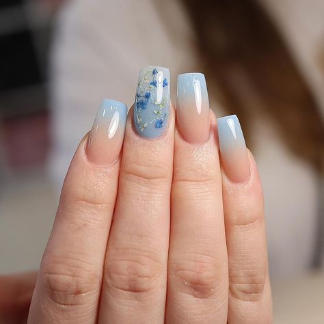 Ombré Flower Nails, Encapsulated Nail Designs, Light Blue Flower Nails, Ombre Nails With Flowers, Light Blue Nails With Flowers, Nail Encapsulated Design, Flower Encapsulated Nails, Encapsulated Blue Nails, Dried Flower Acrylic Nail Designs