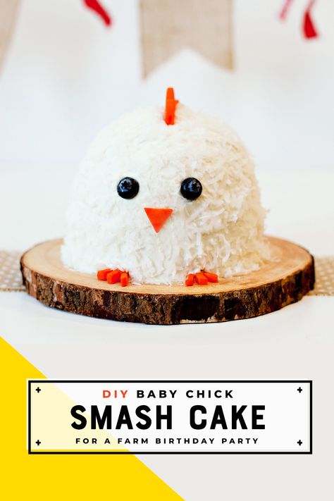 baby chick birthday cake with coconut flake feathers Smash Cake 1st Birthday, Spa Sleepover, Diy Smash Cake, Cake 1st Birthday, Smash Cake First Birthday, Gnome Party, Colorful Backyard, Apple Birthday, Farm Animal Cakes