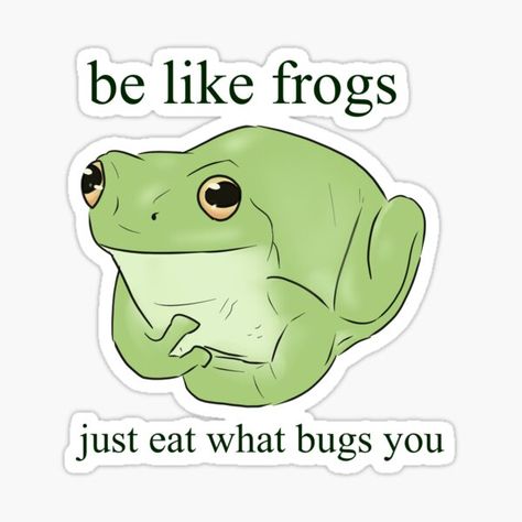 Frog Quotes, Funny Day Quotes, Charming Quotes, Cross Stitch Quotes, Frog Drawing, Super Funny Quotes, Bee And Puppycat, Funny Frogs, Frog Art