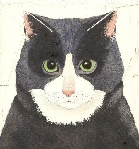 Kay McDonagh Kay Mcdonagh, Tuxedo Cats, Cat Art Illustration, Cat Artwork, Cat Character, Artist Portfolio, Retro Cats, White Cats, On My Own