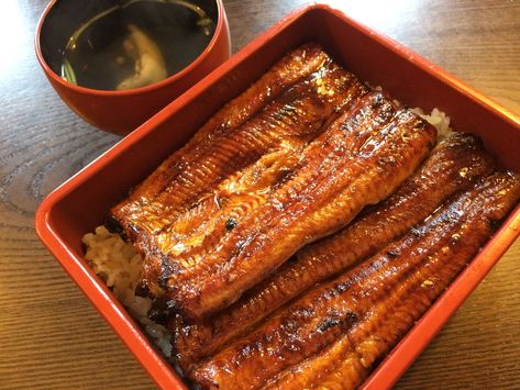 Unagi don Unagi Don, Healthy Sushi, Tokyo Food, K Food, Delicacy Food, Yummy Comfort Food, Food Journal, Japan Food, Daily Meals