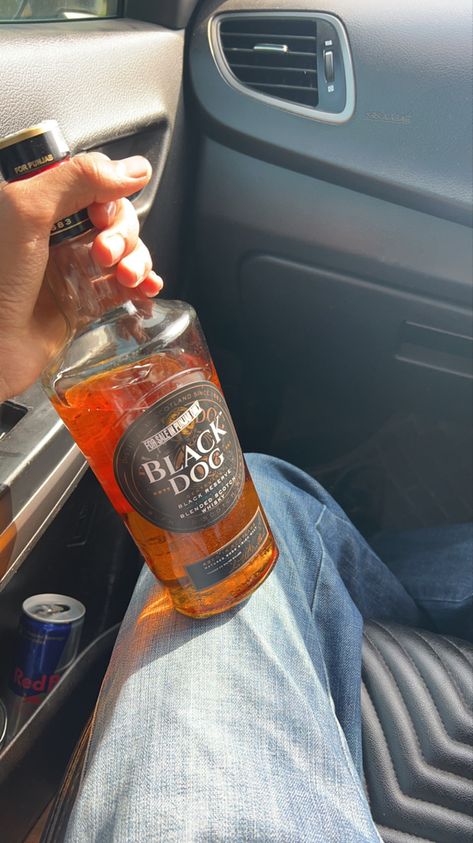 Ballentine Whisky Snap, Alcohol In Car, Dog Fake Snap, Morning Alcoholic Drinks, Friends Party Night, Daaru Party Pic, Alcoholic Drinks Pictures, Party Night Club Aesthetic, Night Club Aesthetic