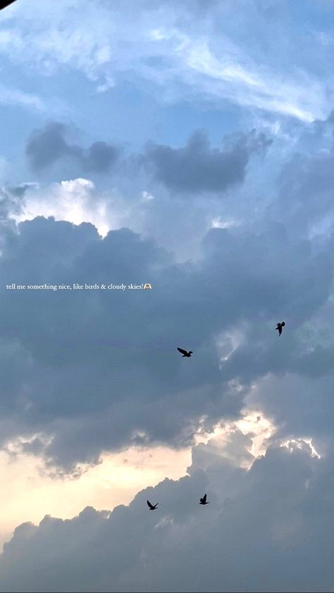 Insta Captions For Cloudy Days, Caption For Skies Pic, Sky Bio For Instagram, Caption For Birds Pic, Beautiful Weather Captions, Insta Captions For Sky Pics, Sky Pic Caption, Caption For Asthetic Picture, Cloudy Sky Captions Instagram