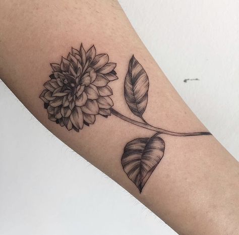 Dahlia And Sunflower Tattoo, Zenia Flower Tattoo, Dalia Flower Tattoo, Dahlia Tattoo Design, Black Dahlia Tattoo, Dahlia Flower Tattoo, Zinnia Tattoo, Dahlia Flower Tattoos, Botanical Sleeve