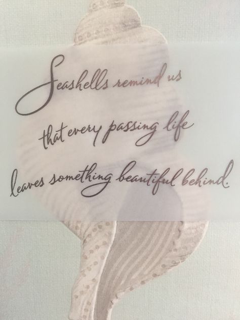 Seashells remind us that every passing life leaves something beautiful behind ❤️ Quotes About Seashells, Seashell Quotes Inspirational, Seashell Memorial Tattoo, Seashell Sayings, Sea Shells Quotes, Shell Quotes Seashells, Shells Quotes, Seashell Quotes, Seashells Quote