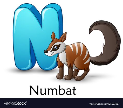 Letter n is for numbat cartoon alphabet Royalty Free Vector Cartoon Alphabet, Weather Worksheets, Flashcards For Toddlers, N Letter, Alphabet Nursery, Alphabet Pictures, Baby Boy Scrapbook, Learning Skills, Flashcards For Kids