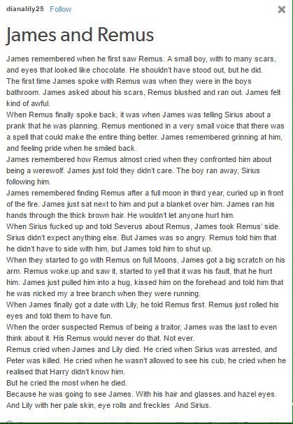 The Marauders are the best❤️ James And Remus Friendship, James X Remus, Remus And James, Gay Harry Potter, Harry Potter Feels, Harry Potter Puns, Harry Potter Headcannons, Harry Potter Collection, Harry Potter Marauders