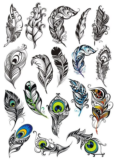 Feather Art Drawing, Tattoo Plume, Peacock Feather Tattoo, Peacock Tattoo, Feather Drawing, Feather Vector, Feather Tattoo Design, Graffiti Tattoo, Peacock Art