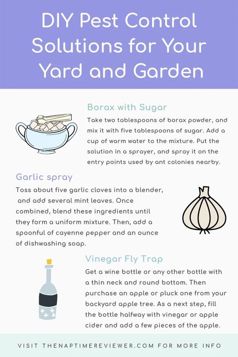 DIY Pest Control Solutions for Your Yard and Garden • The Naptime Reviewer Mint Leaves Benefits, Bee Repellent, Borax Powder, Apple Plant, Natural Insecticide, Diy Pest Control, Organic Pest Control, Bees And Wasps, Uses For Coffee Grounds