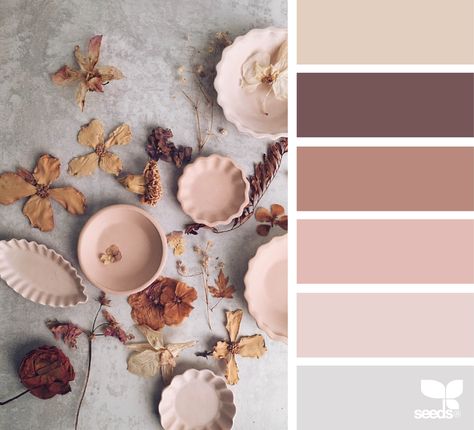 ...blush, mauve, hint of pale grey blue with taupe or brown... Bathroom Brown, Beige Color Palette, Deco Rose, Bedroom Color Schemes, Design Seeds, Color Palette Design, Brown Tones, Bedroom Colors, Colour Schemes