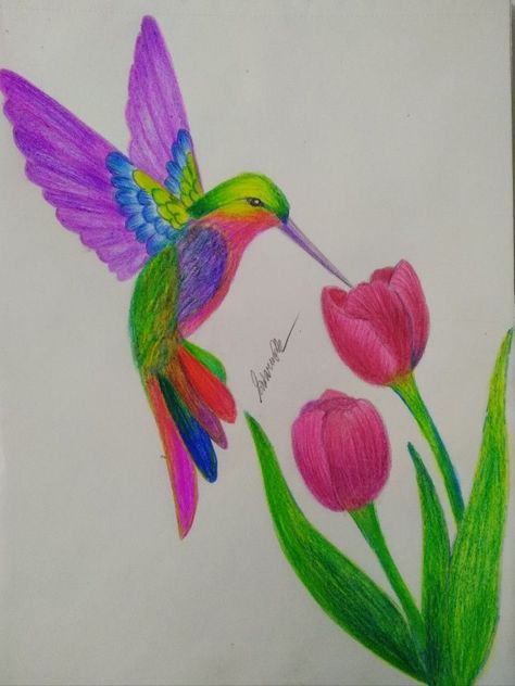 Birds And Flowers Drawing, Hummingbird Drawing Color, Colored Pencil Drawing Ideas Easy, Hummingbird And Flower Drawing, Hummingbird Painting Easy, Colored Pencil Artwork Ideas Easy, Flower Drawing With Color, Colour Drawing Ideas, Drawing Ideas Color