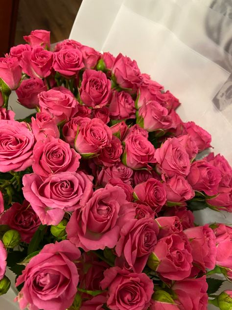 Photo Rose, Hot Pink Roses, Girl Lifestyle, Roses Pink, Beautiful Flowers Pictures, Aesthetic Hair, Flower Pictures, Love Flowers, Quince