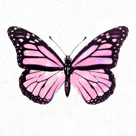 Pink holographic Monarch butterfly on a white background vector | premium image by rawpixel.com / nunny Butterfly Sparkle, Cute Sticker Ideas, Bullet Stickers, Border Sticker, Stickers For Journal, 3 Butterflies, Butterfly Aesthetic, Art Papillon, Butterfly Costume