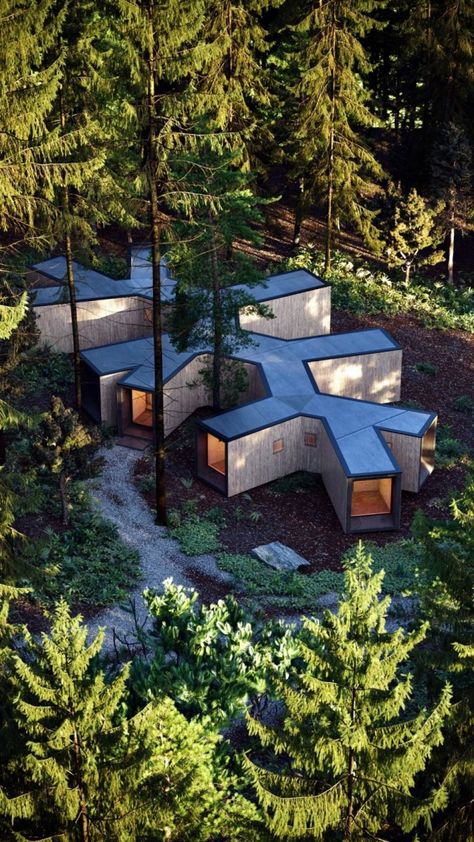 VWArtclub - House in the Forest Berm Architecture, Forest Architecture, Falling Water House, House In The Forest, Barcelona Pavilion, Pod House, مركز ثقافي, Forest Cabin, Forest House