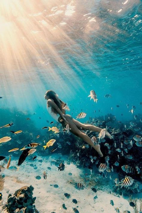 Diving Aesthetic, Snorkeling Pictures, Swimming In The Ocean, Sand Surfing, Photo To Art, Free Diving, Underwater Photos, Water Photography, Underwater Photography