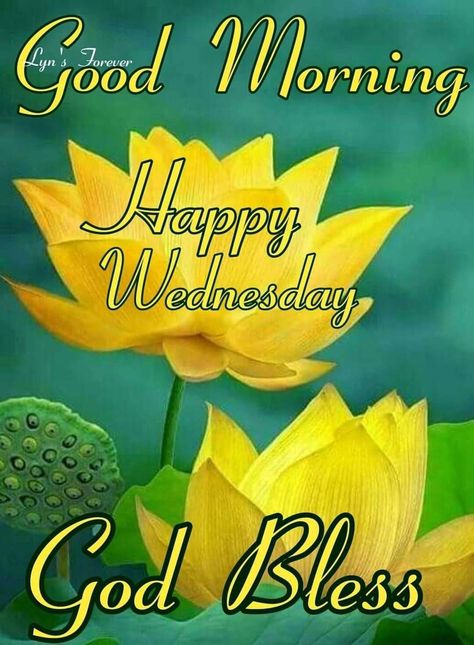 Happy Wednesday Good Morning Pictures, Photos, and Images for Facebook, Tumblr, Pinterest, and Twitter Happy Wednesday Pictures, Wednesday Morning Greetings, Wednesday Images, Happy Wednesday Images, Wednesday Greetings, Love You Poems, Wallpaper God, Good Morning Facebook, Morning Wednesday