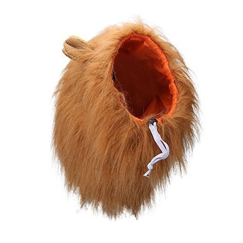 Dog Lion Costume, Dog Lion Mane, Crazy Gifts, Purim Costume, Dog Costumes Funny, Dog Doors, Dog Brown, Dog Light, Dress Up Ideas