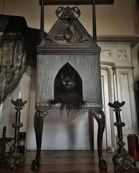 Gothic Shabby Chic Cat Bed Cave Decorations, Dark Maximalist, Katt Diy, Katt Grejer, Arch Door, Gatos Cool, Gothic Arch, Gothic Bedroom, Cat House Diy