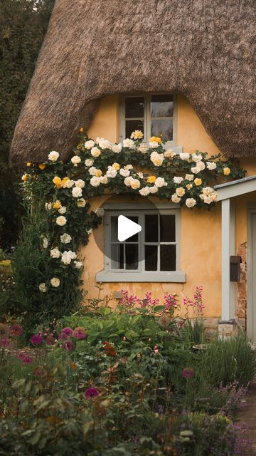 James Lloyd, Lloyd Cole, Cottage Names, Rose Cottage, The King, Most Popular, Cottage, England, Instagram