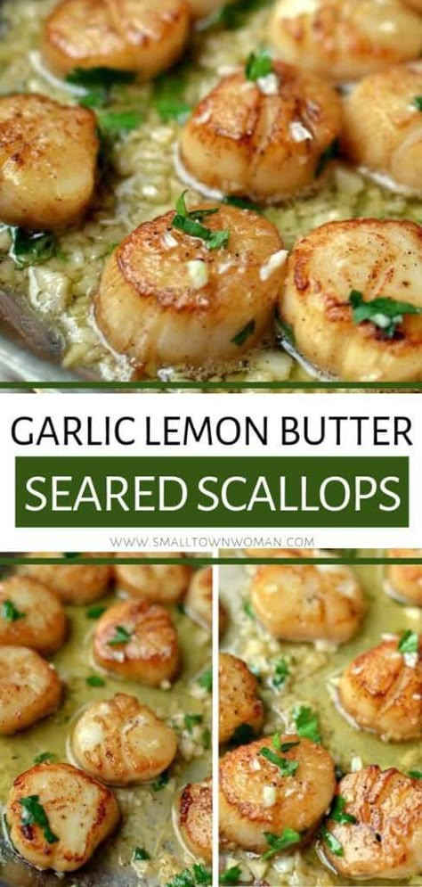 Best Scallop Recipe, Scallop Recipe, Seafood Sandwiches, Seafood Recipe, Seared Scallops, Scallop Recipes, Scallops Seared, Lemon Butter, Seafood Dinner